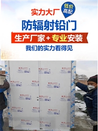 dr铅门湖北气密铅门厂家