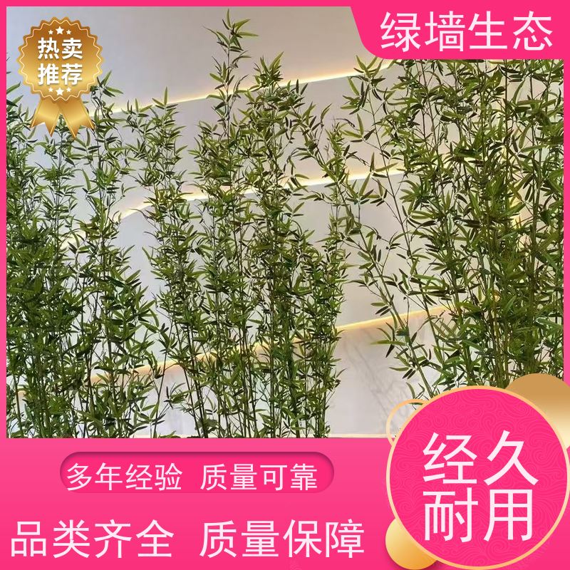 绿墙生态 连廊通道垂直 垂吊藤蔓植物墙面装饰 园林景观