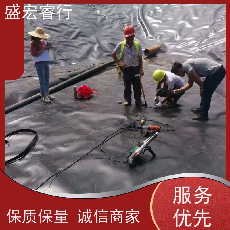 盛宏睿行 化粪池防.渗 农村污水治理防.水膜 土工膜 PE塑料薄膜