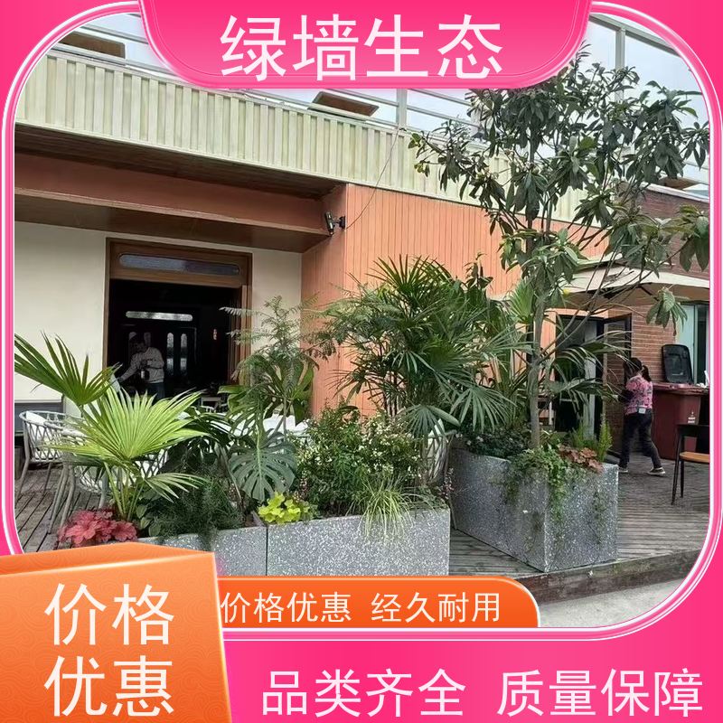 绿墙生态 飘窗小型微 迷你苔藓多肉组合摆件 厂区绿化景观