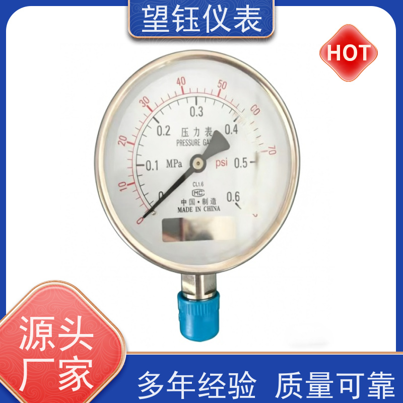 望钰  Y-60ZT 螺纹连接压力表  消防系统  厂家供应
