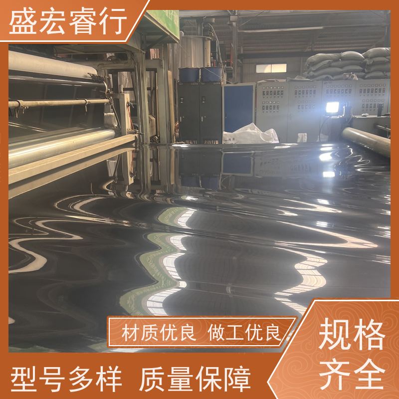 盛宏睿行 环保 垃圾场污水处理专用膜 隔离膜 聚乙烯塑料薄膜