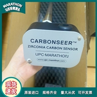 美国原装马拉松F1000系列 1000mm氧探头 深井式热处理炉加长探杆氧传感器