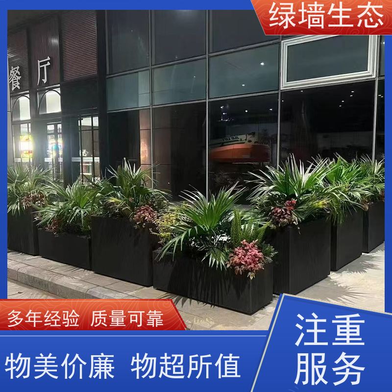 绿墙生态 共享办公区 矮生观叶植物隔断 厂区绿化景观