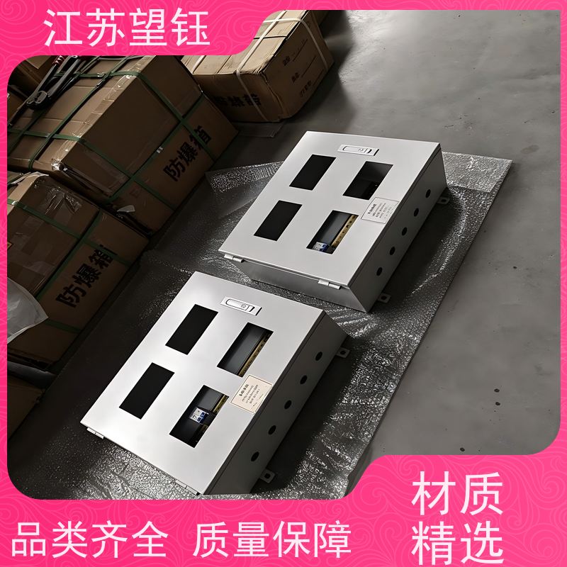 江苏望钰壁挂式仪表箱 板材 2.0mm 防爆 水处理设备保护箱