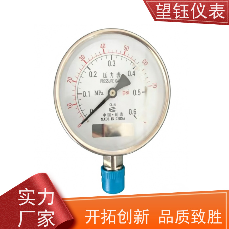 望钰  YN-100 数字压力表  化工管道  支持配送到厂