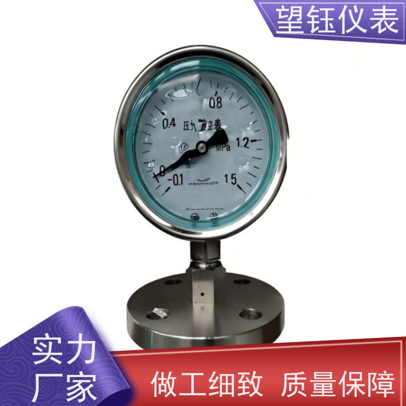 望钰  YN-100 膜盒压力表  数显指针可选  支持配送到厂
