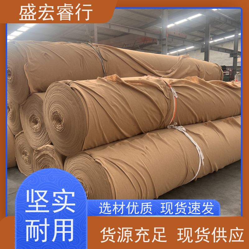 盛宏睿行 SNG土工布  水利工程 堤坝护坡防渗过滤布
