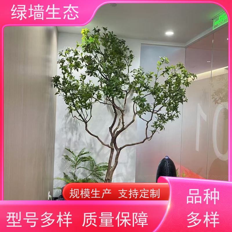 绿墙生态 共享办公区 矮生观叶植物隔断 别墅绿化景观