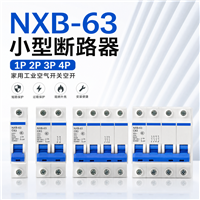 NXB-63 小型断路器 1P，2P， 3P， 4P 家用工业空气开关空开