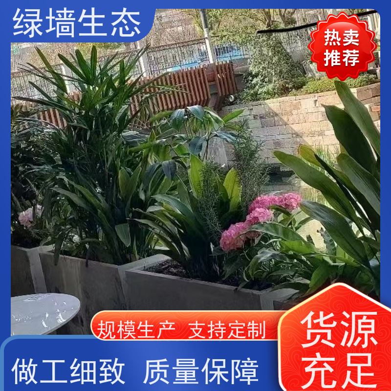 绿墙生态 连廊通道垂直 垂吊藤蔓植物墙面装饰 室内桌子小型景观