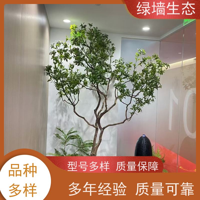 绿墙生态 连廊通道垂直 垂吊藤蔓植物墙面装饰 小型室内园林造景