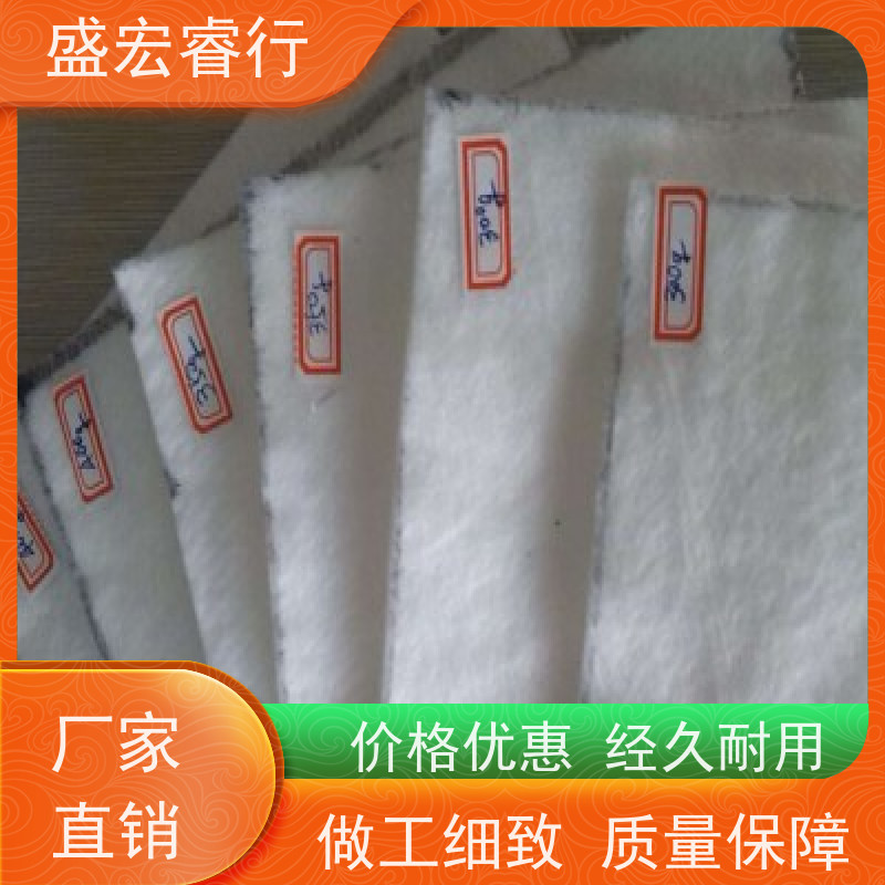 盛宏睿行 PET土工布  防渗隔离 垃圾填埋场专用布