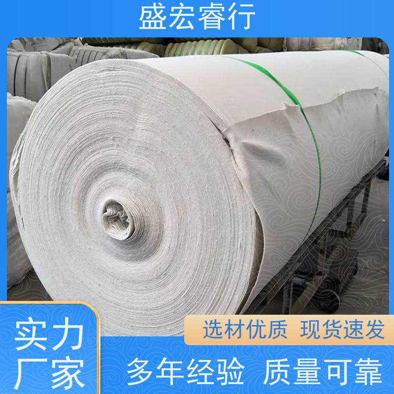 盛宏睿行 涤纶土工布  垃圾填埋场 防渗隔离过滤布 国标