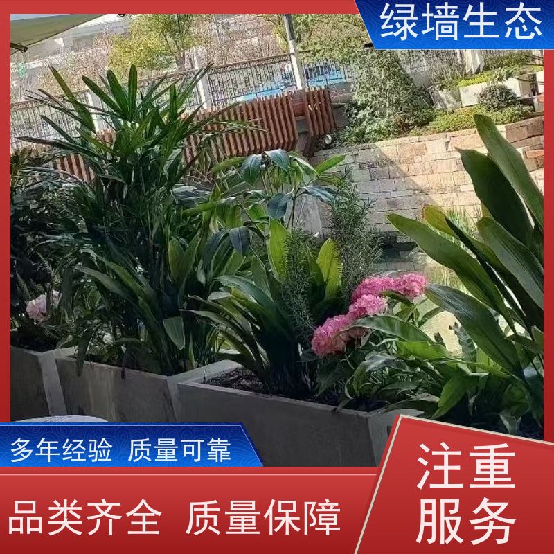 绿墙生态 围墙篱笆装饰 爬藤攀援植物覆盖架构 室内小型景观