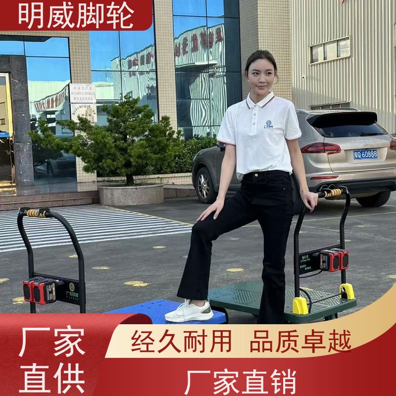 明威mw 60*90cm 仓库平板电动手推车 大容量承载 定做