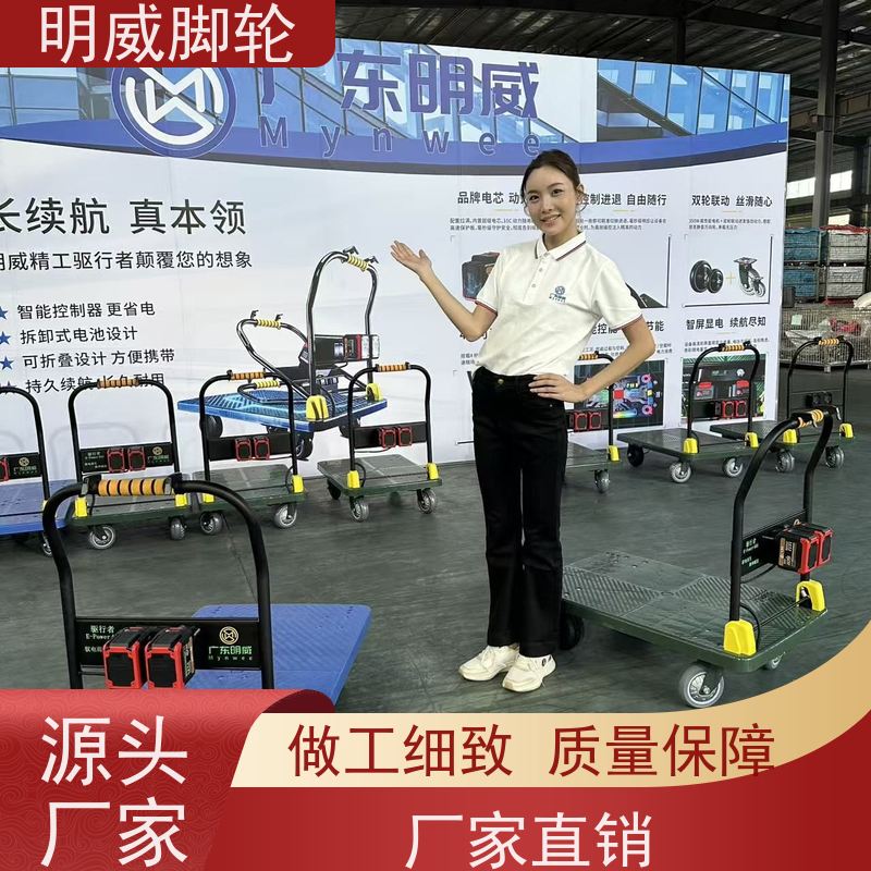 明威mw 60*90cm 小型电动平板手推车 承重400kg 厂商