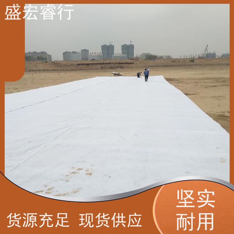 盛宏睿行 PP土工布  人工湿地 透水过滤环保工程布