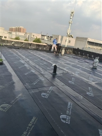 滨海新区屋面铺油毡 SBS卷材 东方雨虹材料防水补漏