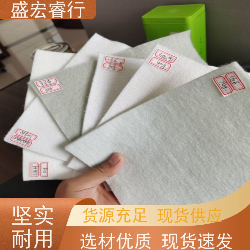盛宏睿行 PET土工布  长丝 边坡防护山体固土无纺布