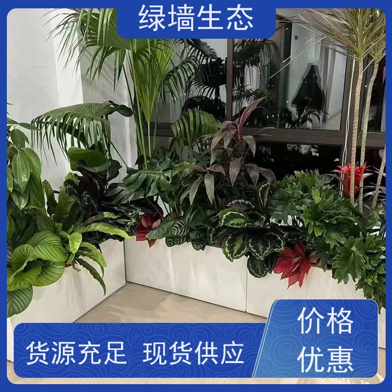 绿墙生态 花箱配套 时令草花灌木填充配置 中式景观绿化