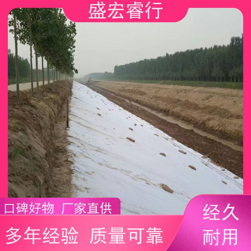 盛宏睿行 土工布  海绵城市 透水反滤保湿工程布