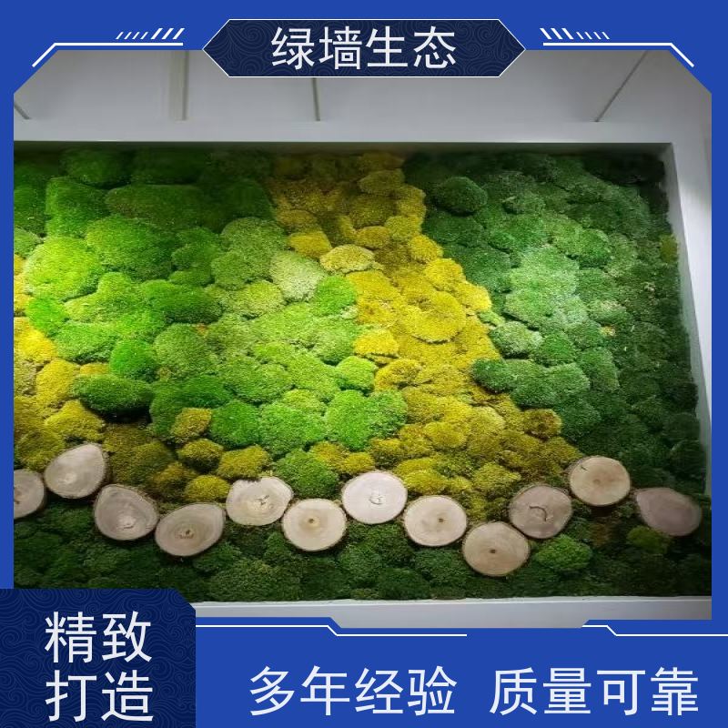 绿墙生态 分层堆叠造景室内隔断层次布置植被 苔藓缸