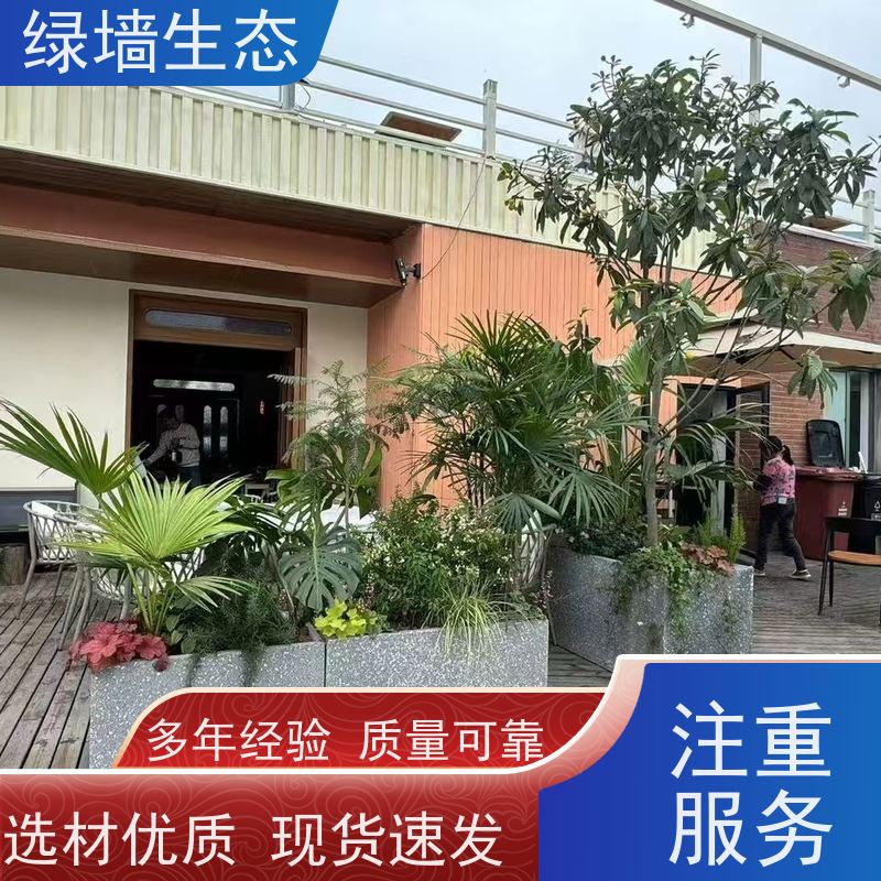 绿墙生态 花箱配套 时令草花灌木填充配置 室内微景观