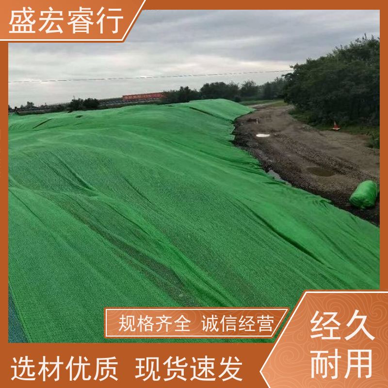 盛宏睿行 PET土工布  定制 国标 桥梁隧道排水过滤无纺布