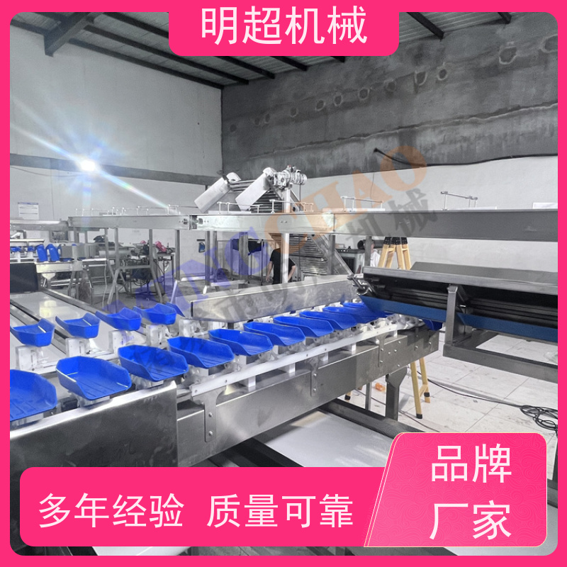 明超防霉防长毛商品薯清洗糖化流水线一小时加工5吨
