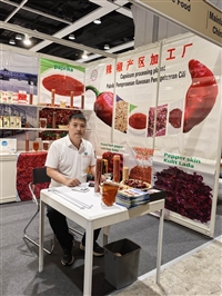 内蒙古通辽市开鲁县食品级内蒙古开鲁县辣椒加工厂原料供应加工厂