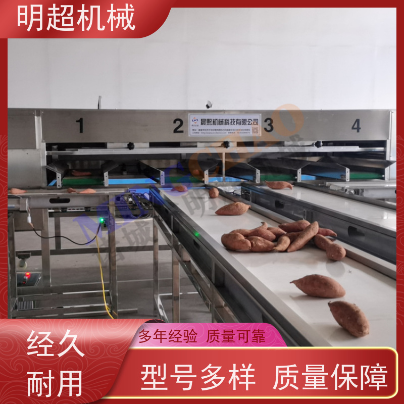 明超助力红薯伤口形成天然蜡质保护膜小香薯清洗流水线日产1吨