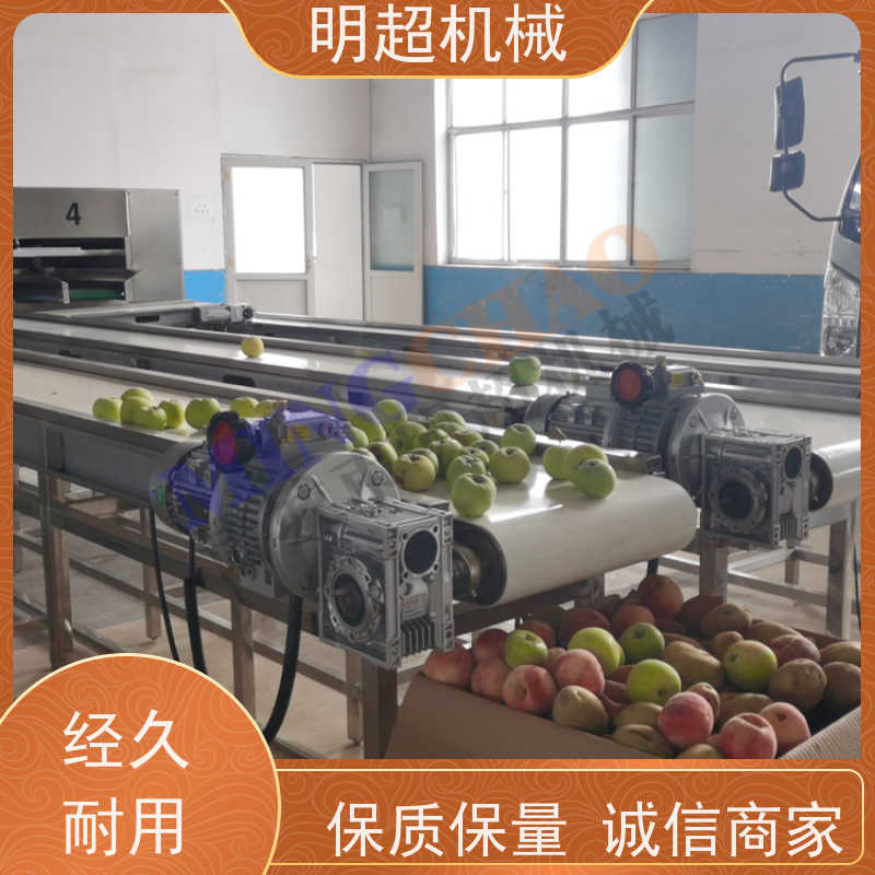 明超一小时加工5吨品相统一红薯清洗糖化流水线