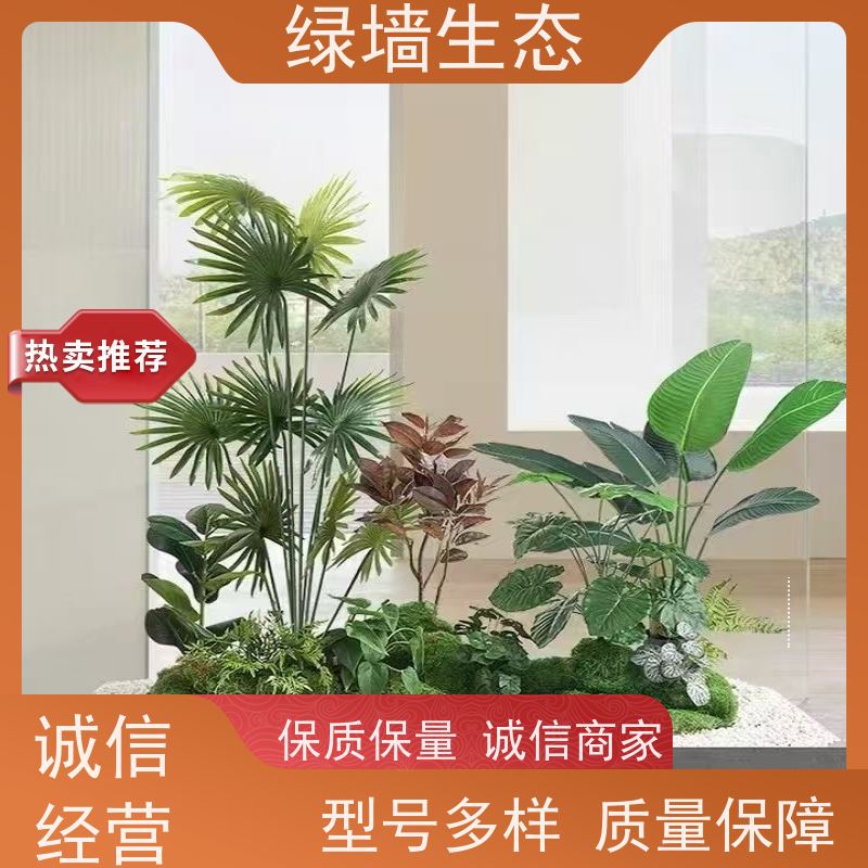 绿墙生态 飘窗小型微 迷你苔藓多肉组合摆件 室内景观墙