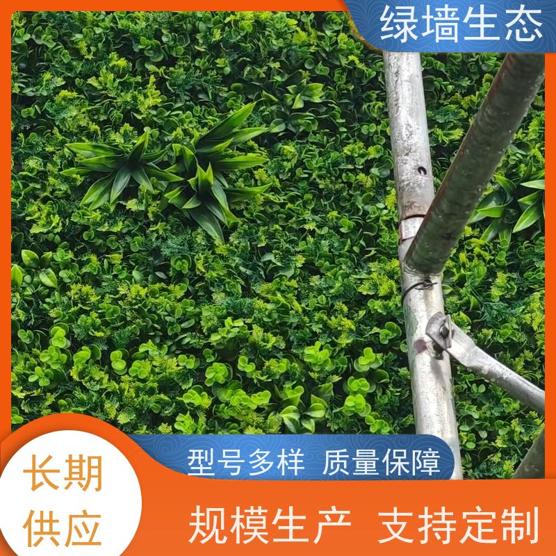 绿墙生态 园区节点造景专用造型装饰墙体 仿真绿化工程