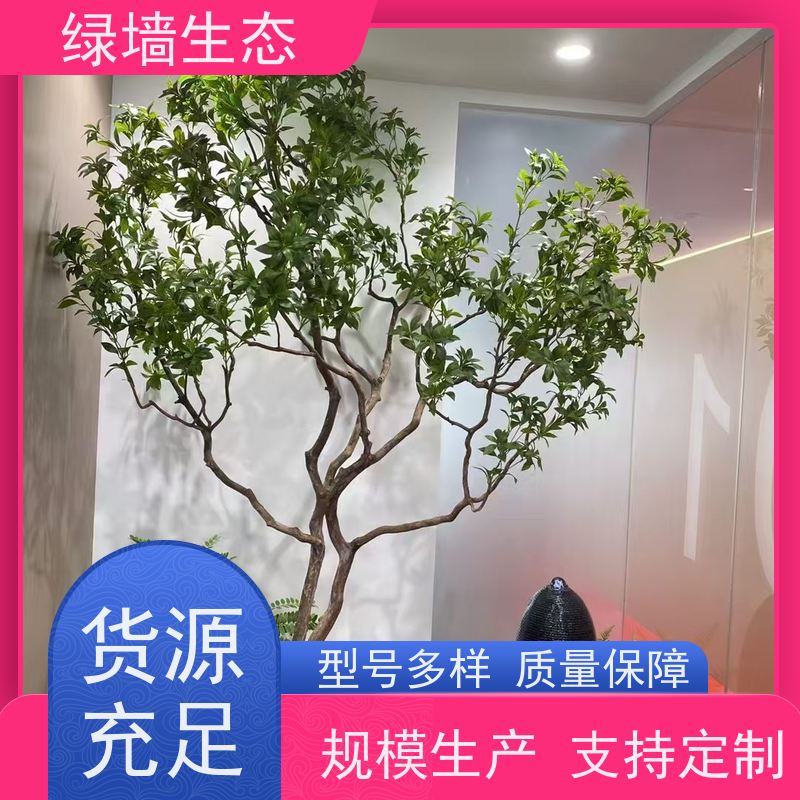 绿墙生态 共享办公区 矮生观叶植物隔断 园林景观绿化