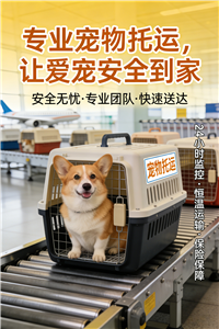 2026阳江宠物托运宠物飞机托运联系电话