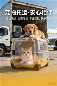 2026锡林郭勒盟宠物托运宠物狗狗托运费用多少