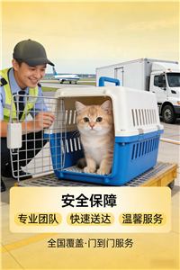 2026霞浦正规宠物托运-宠物猫托运联系电话