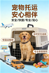 2026贞丰宠物托运.汽车带宠物托运咨询服务