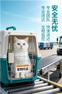 2026兴义宠物托运价格-宠物猫托运联系电话