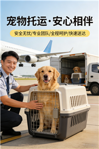 2026千岛湖宠物托运.宠物狗托运靠谱的公司