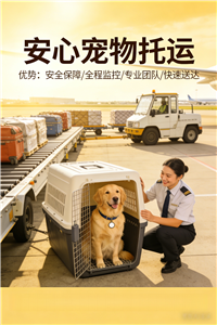 2026黄冈正规宠物托运.宠物飞机托运靠谱的公司