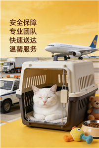 2026德阳宠物托运公司/宠物单独托运公司电话