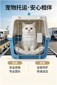 2026岳阳宠物托运-宠物运输推荐公司