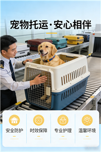 2026嵊州宠物托运电话-宠物托运运输怎么联系