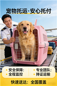 2026新乡本地宠物托运-宠物活体运输费用多少