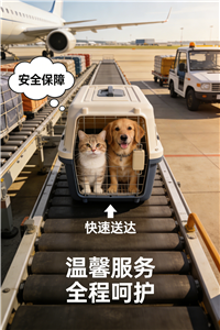 浚县宠物托运哪家好/宠物出行多种选择