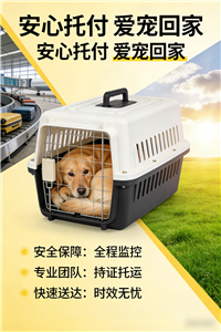 2026椒江宠物托运公司/客车托运狗靠谱的公司