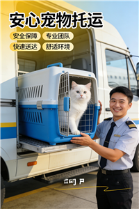 2026惠州宠物托运电话.宠物火车托运上门接送